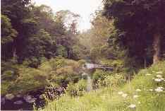 Kerikeri