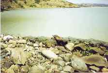 Seal